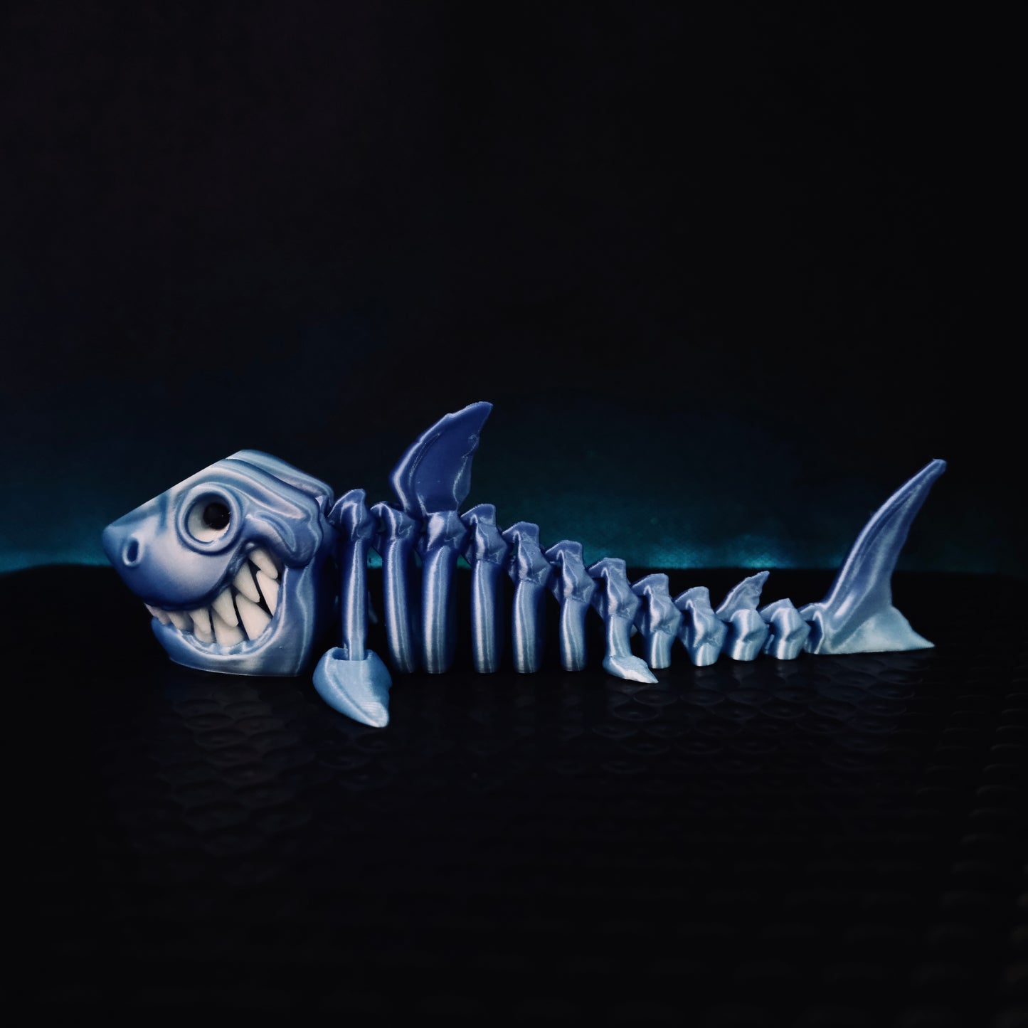 Multicolor Shark
