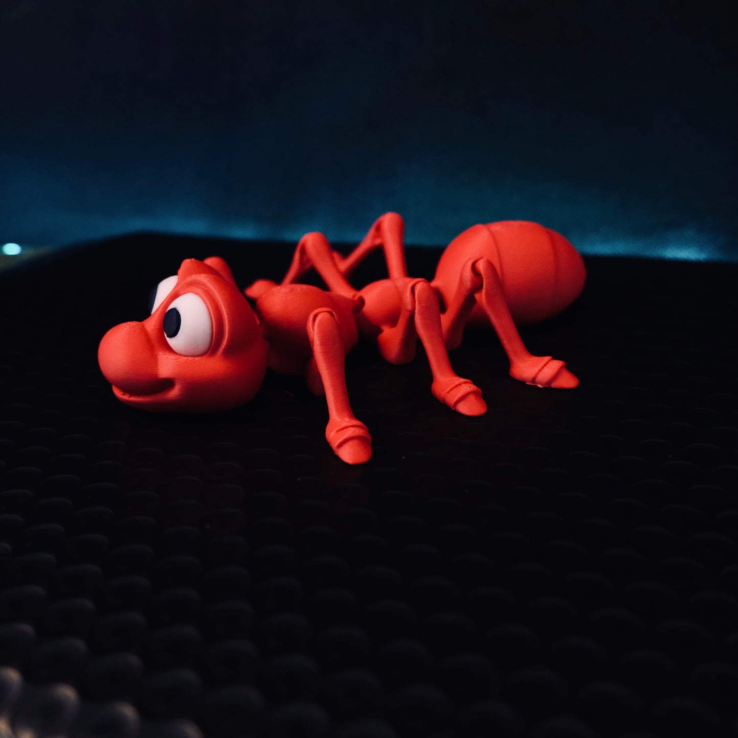 Multicolor Red Ant