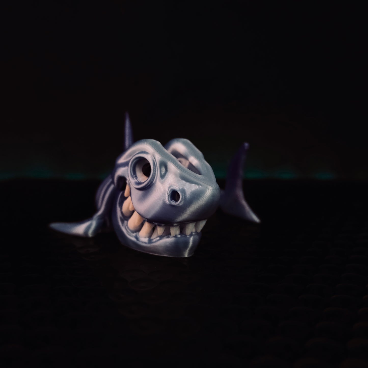 Multicolor Shark