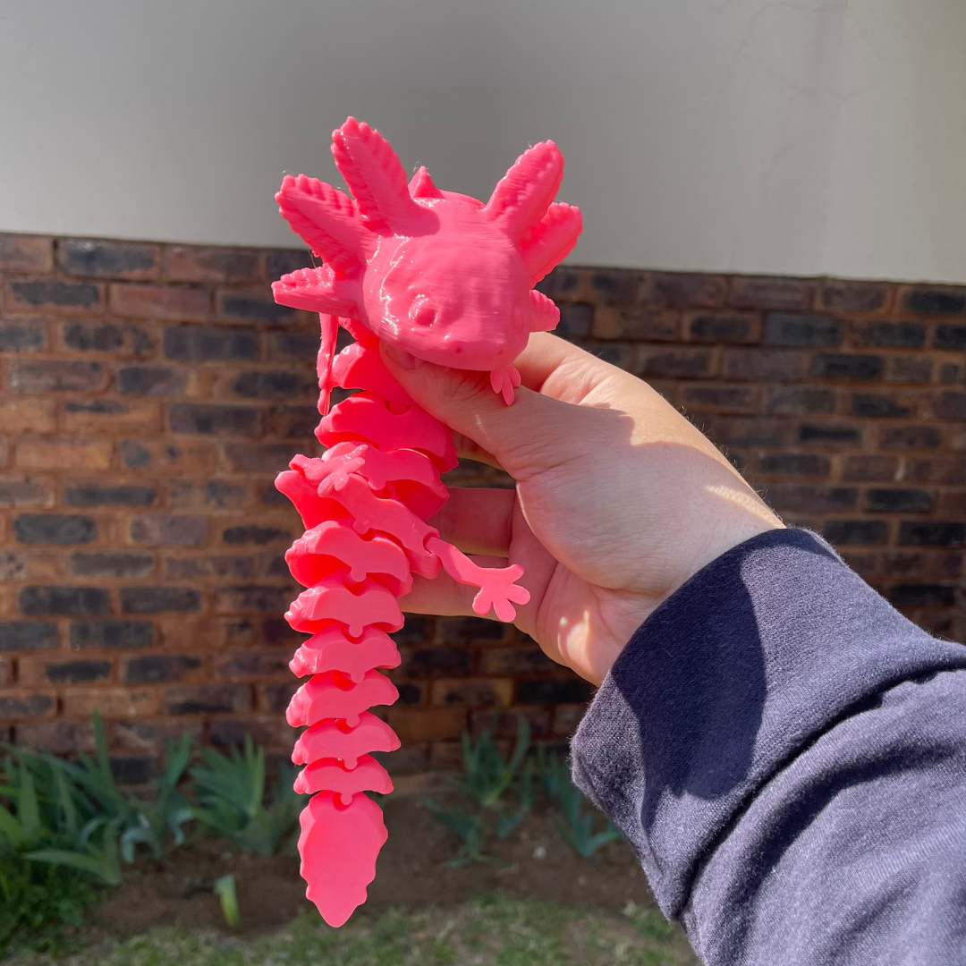 Axolotl