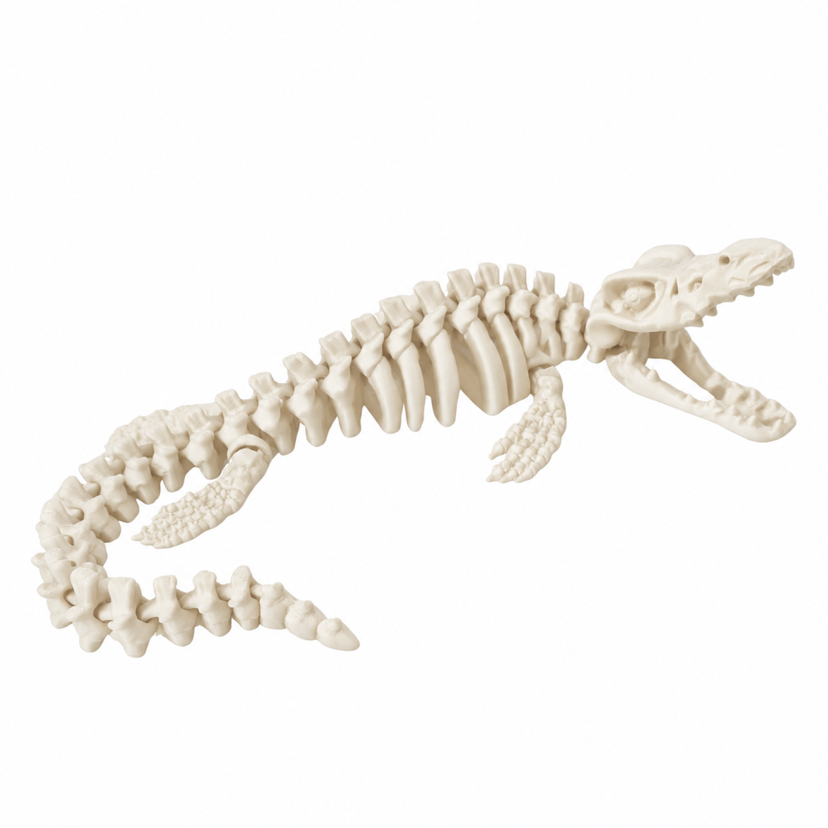 Articulated Ivory Mosasaurus Skeleton in bone white colour