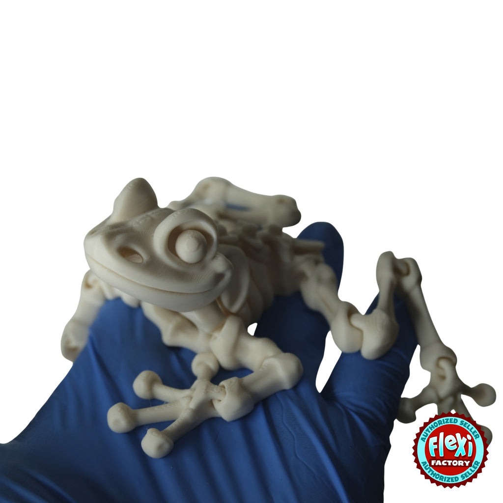 Flexible Skeleton Frog 3D printed by RU3D – bone white held in hand