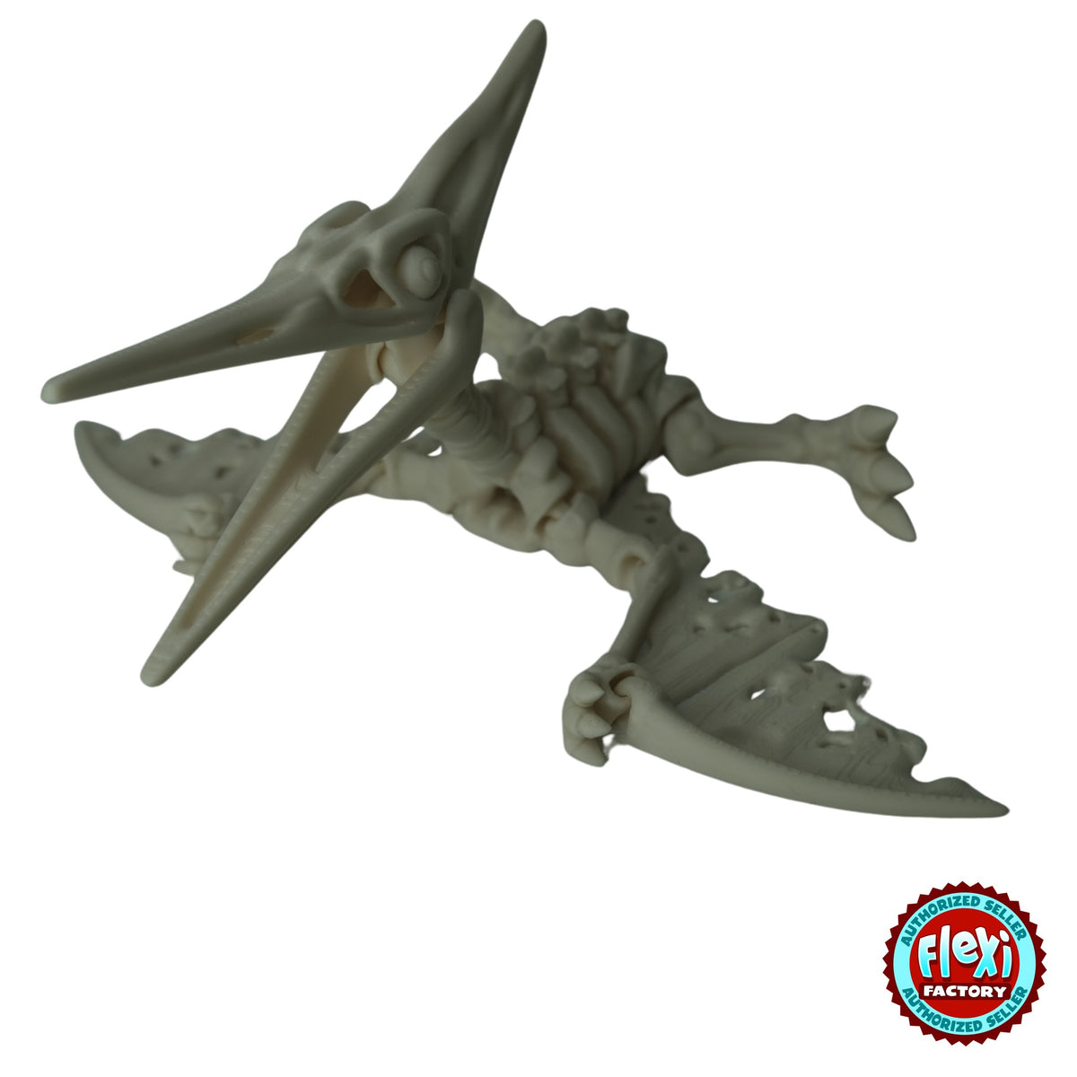 Flexible Skeleton Pteranodon 3D printed by RU3D – bone white wings spread