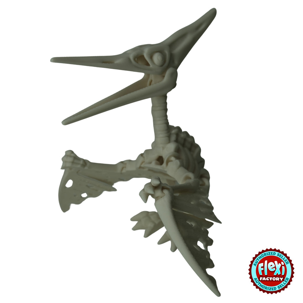 Flexible Skeleton Pteranodon 3D printed by RU3D – bone white