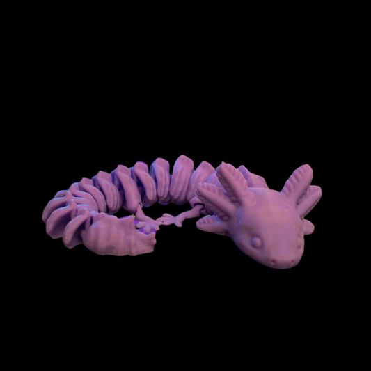 Axolotl